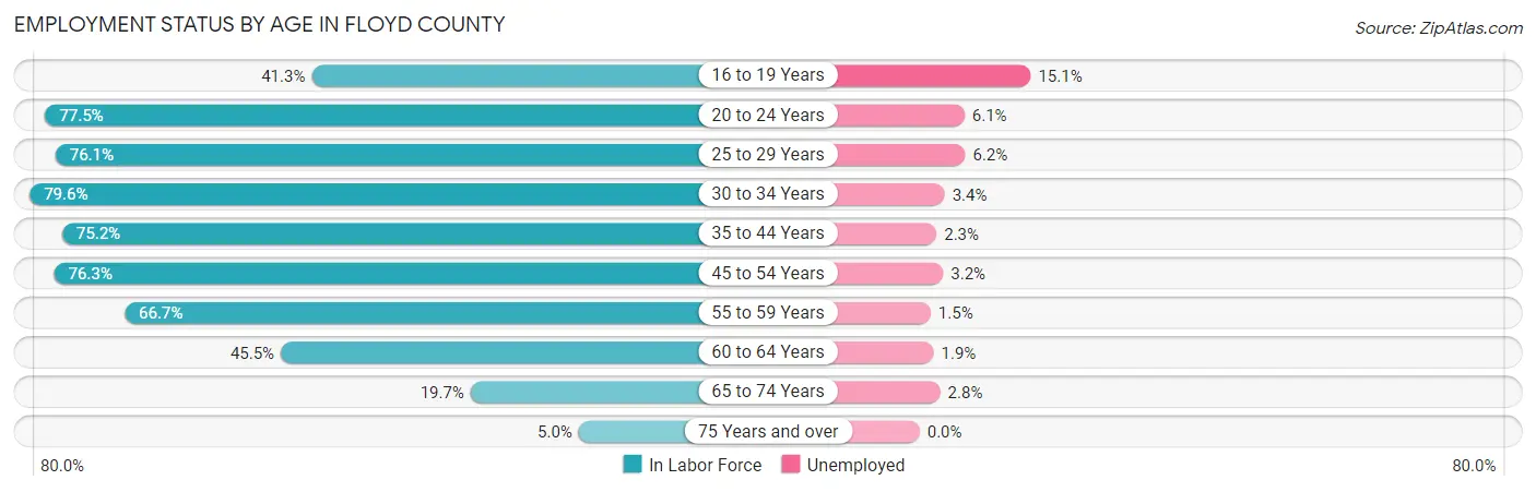 Employment Status by Age in Floyd County