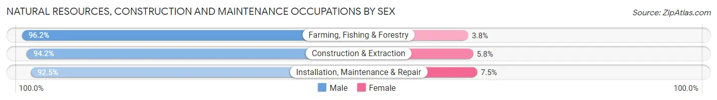 Natural Resources, Construction and Maintenance Occupations by Sex in Floyd County
