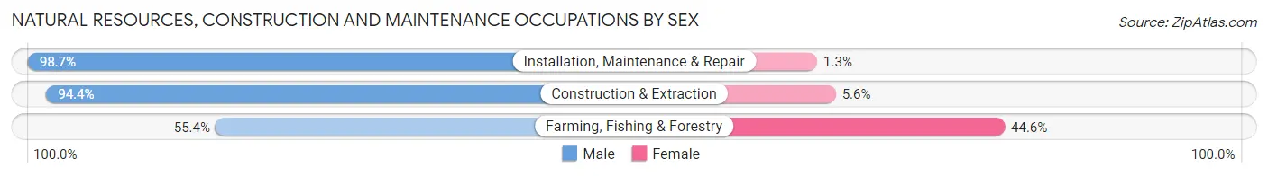 Natural Resources, Construction and Maintenance Occupations by Sex in Forsyth County