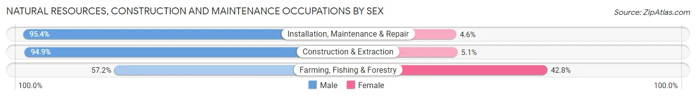 Natural Resources, Construction and Maintenance Occupations by Sex in Gwinnett County