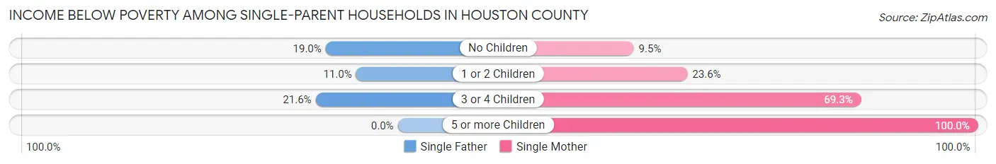Income Below Poverty Among Single-Parent Households in Houston County