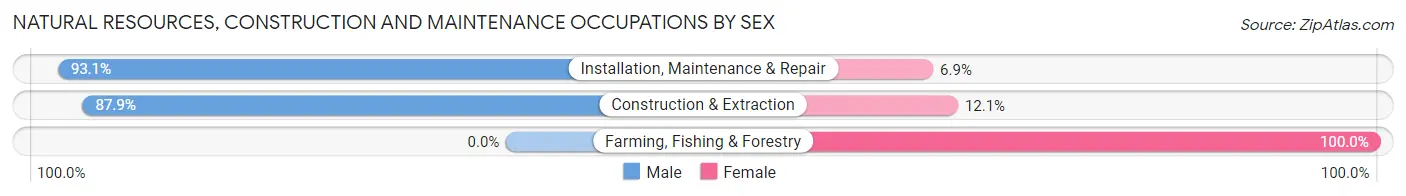 Natural Resources, Construction and Maintenance Occupations by Sex in Newton County