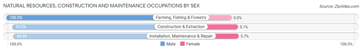 Natural Resources, Construction and Maintenance Occupations by Sex in Paulding County