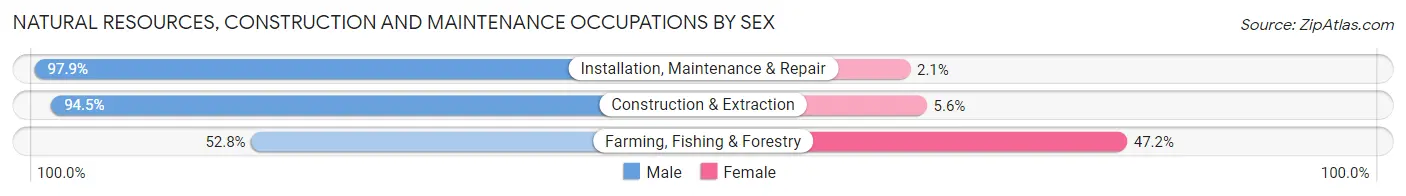 Natural Resources, Construction and Maintenance Occupations by Sex in Bannock County