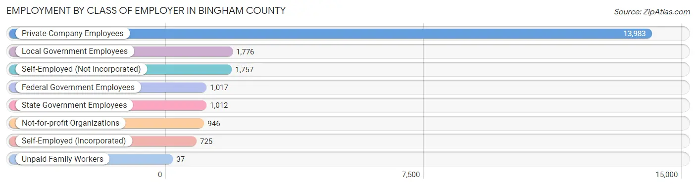 Employment by Class of Employer in Bingham County