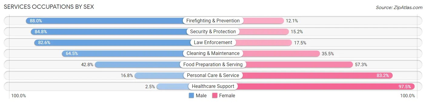 Services Occupations by Sex in Bingham County