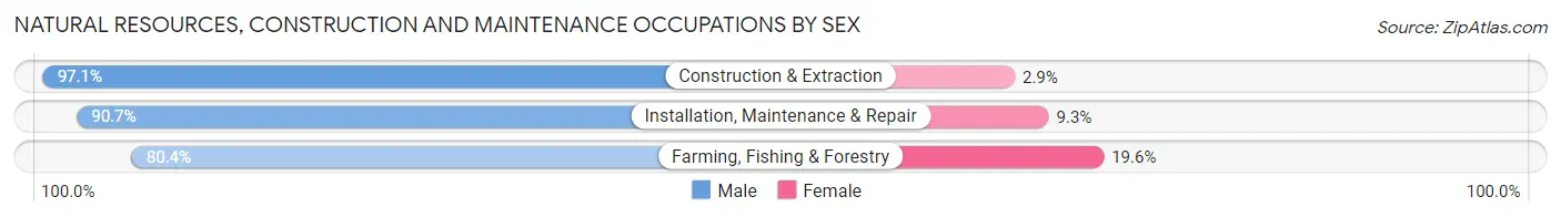 Natural Resources, Construction and Maintenance Occupations by Sex in Bonneville County