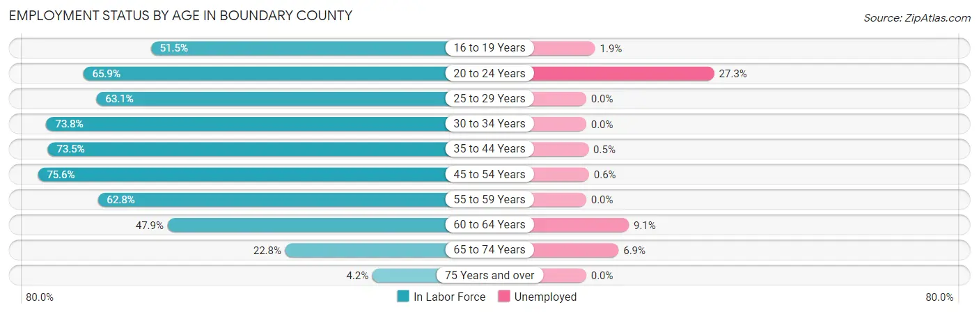 Employment Status by Age in Boundary County