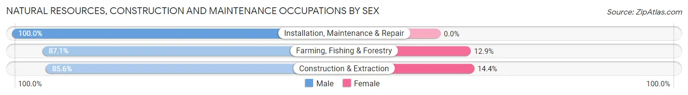 Natural Resources, Construction and Maintenance Occupations by Sex in Elmore County