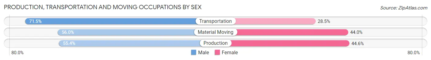 Production, Transportation and Moving Occupations by Sex in Elmore County