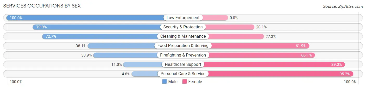 Services Occupations by Sex in Elmore County