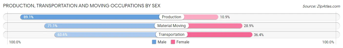 Production, Transportation and Moving Occupations by Sex in Gem County
