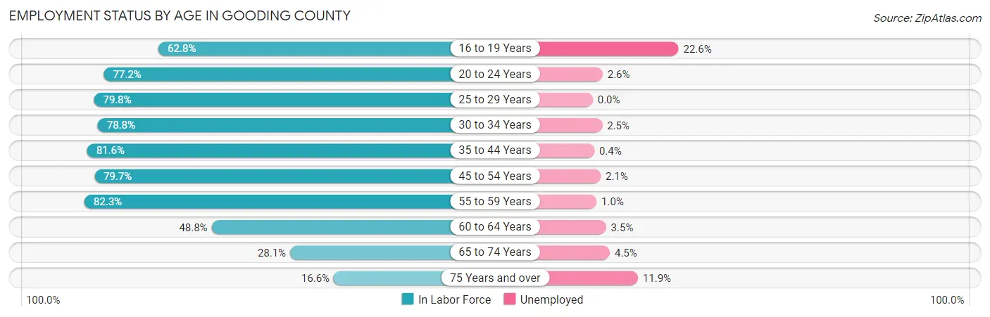 Employment Status by Age in Gooding County