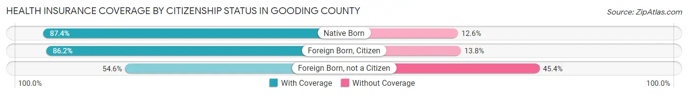 Health Insurance Coverage by Citizenship Status in Gooding County