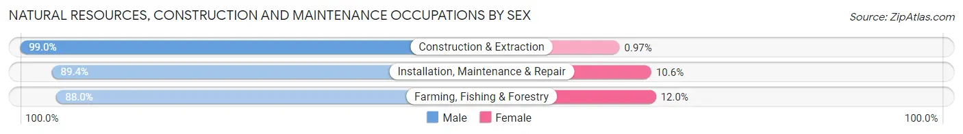 Natural Resources, Construction and Maintenance Occupations by Sex in Latah County