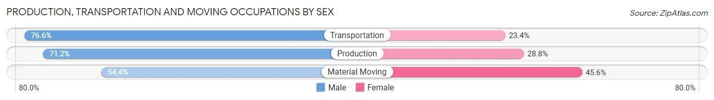 Production, Transportation and Moving Occupations by Sex in Minidoka County