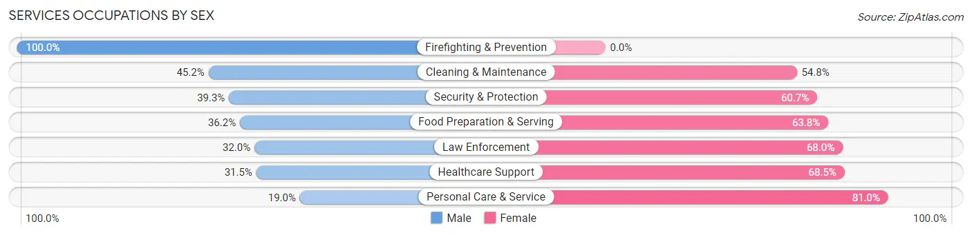 Services Occupations by Sex in Minidoka County