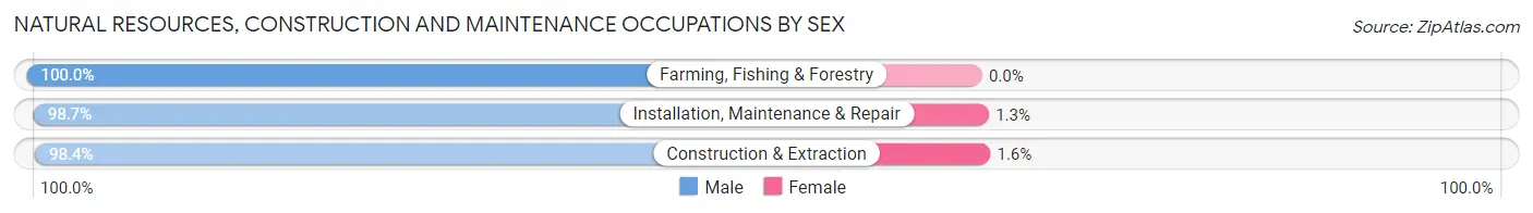 Natural Resources, Construction and Maintenance Occupations by Sex in Shoshone County