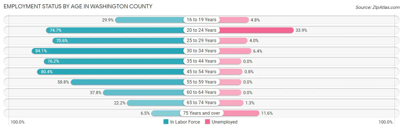 Employment Status by Age in Washington County