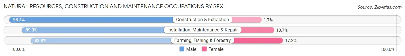Natural Resources, Construction and Maintenance Occupations by Sex in Adams County
