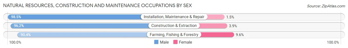 Natural Resources, Construction and Maintenance Occupations by Sex in Grundy County