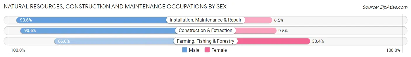 Natural Resources, Construction and Maintenance Occupations by Sex in McLean County