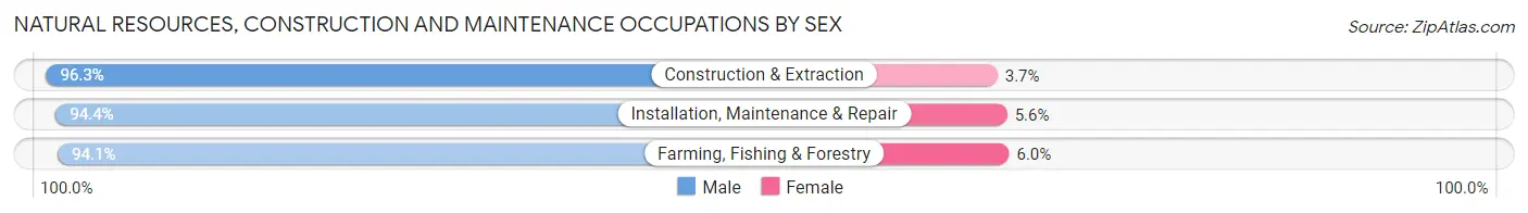 Natural Resources, Construction and Maintenance Occupations by Sex in Peoria County