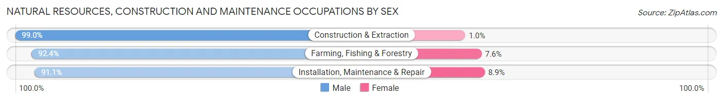 Natural Resources, Construction and Maintenance Occupations by Sex in Sangamon County