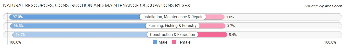 Natural Resources, Construction and Maintenance Occupations by Sex in St. Clair County