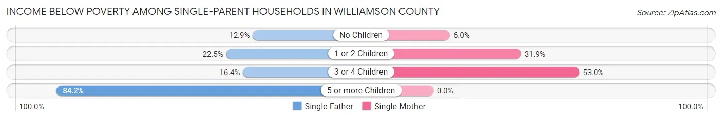Income Below Poverty Among Single-Parent Households in Williamson County