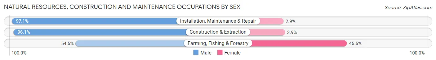 Natural Resources, Construction and Maintenance Occupations by Sex in Elkhart County
