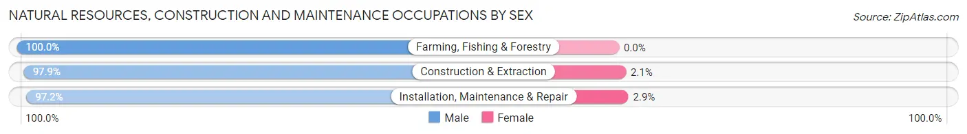 Natural Resources, Construction and Maintenance Occupations by Sex in Hancock County
