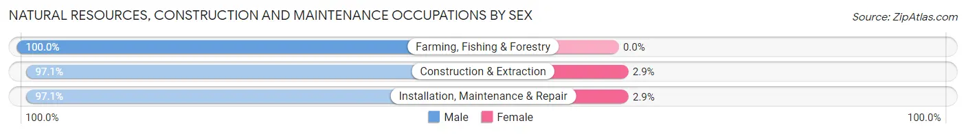 Natural Resources, Construction and Maintenance Occupations by Sex in Hendricks County