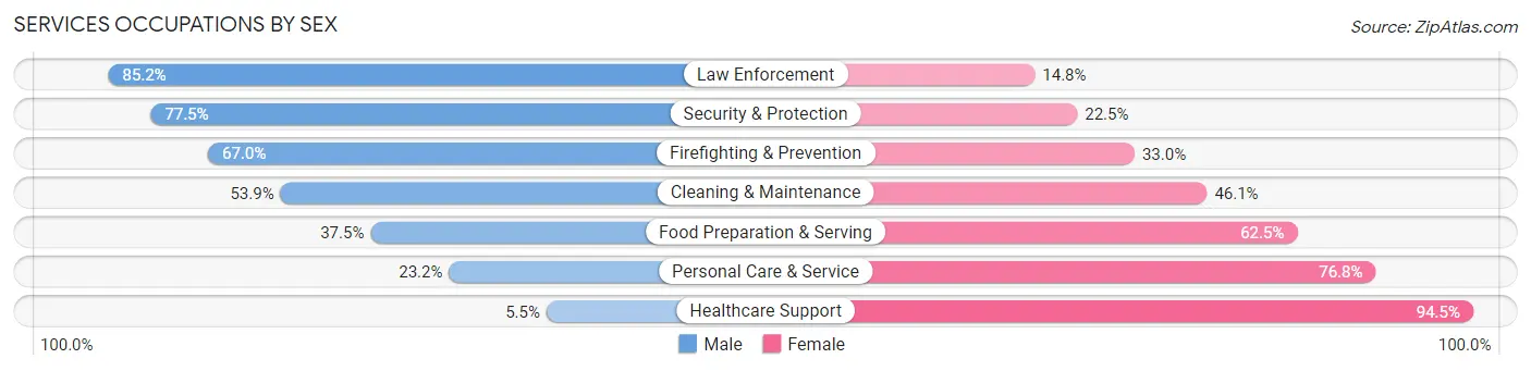 Services Occupations by Sex in Madison County