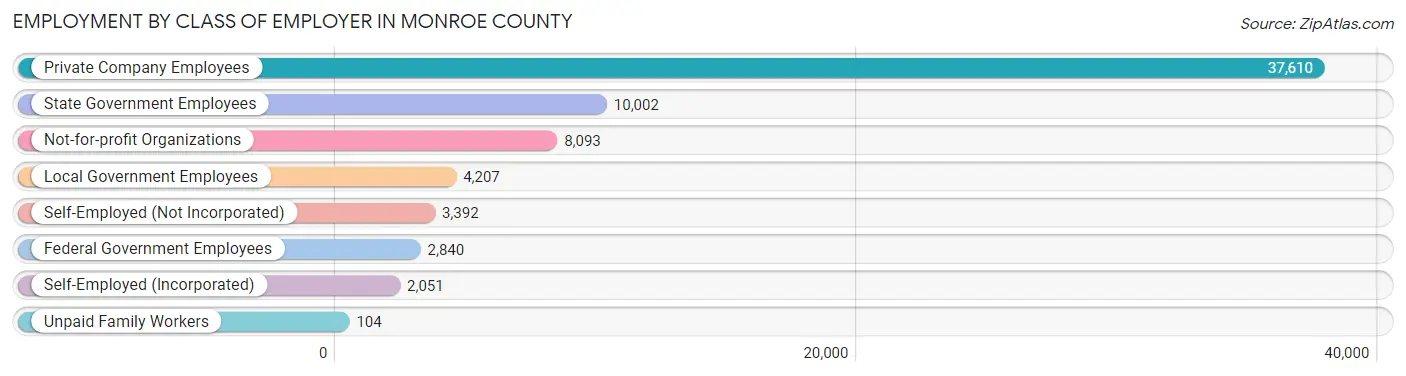Employment by Class of Employer in Monroe County