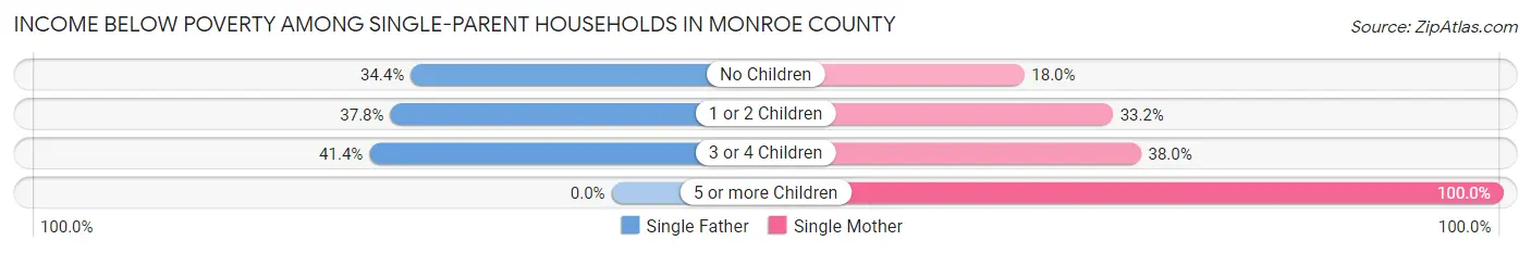 Income Below Poverty Among Single-Parent Households in Monroe County