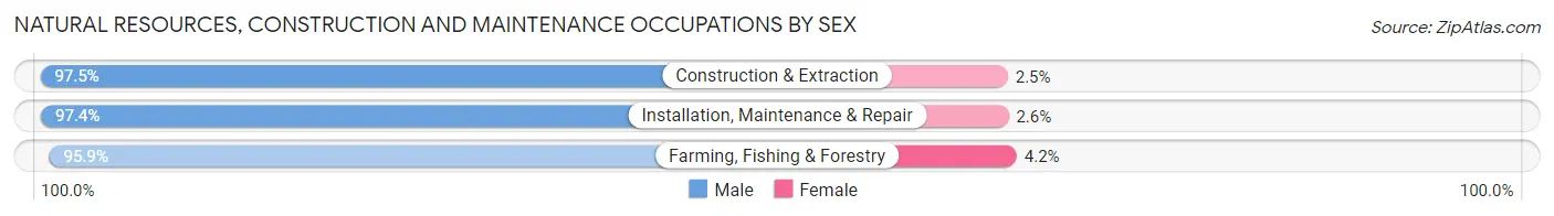 Natural Resources, Construction and Maintenance Occupations by Sex in Porter County