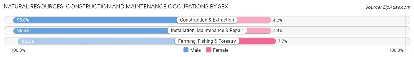 Natural Resources, Construction and Maintenance Occupations by Sex in St. Joseph County