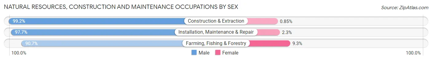 Natural Resources, Construction and Maintenance Occupations by Sex in Barton County