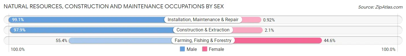 Natural Resources, Construction and Maintenance Occupations by Sex in Dickinson County
