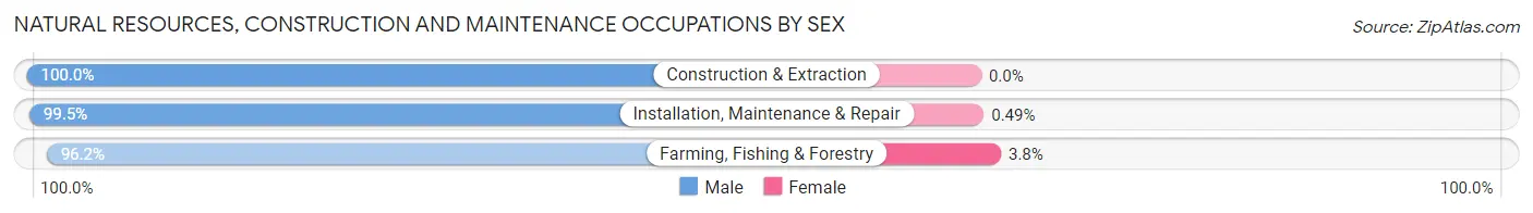 Natural Resources, Construction and Maintenance Occupations by Sex in Ellis County