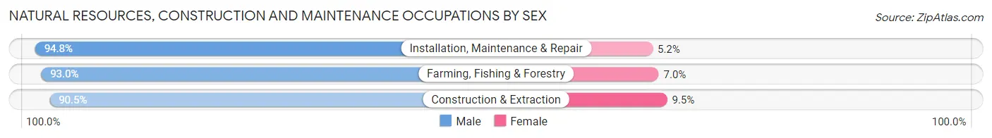 Natural Resources, Construction and Maintenance Occupations by Sex in Ford County