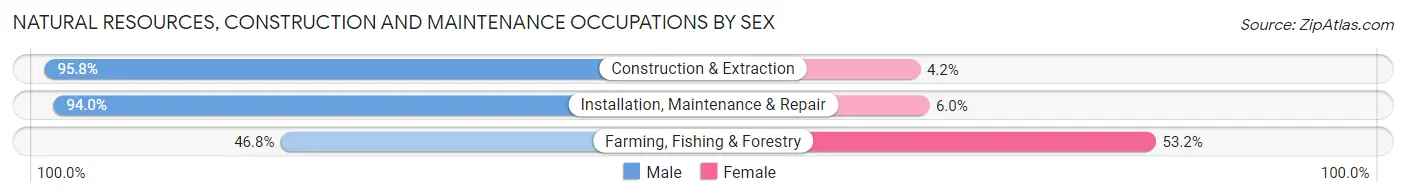 Natural Resources, Construction and Maintenance Occupations by Sex in Harvey County