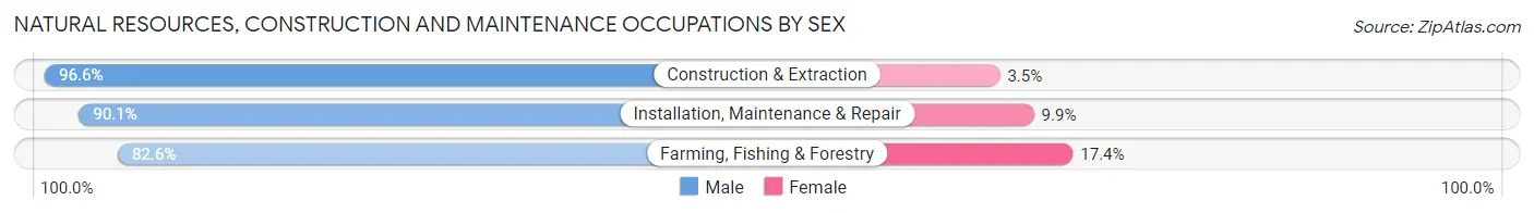 Natural Resources, Construction and Maintenance Occupations by Sex in Leavenworth County