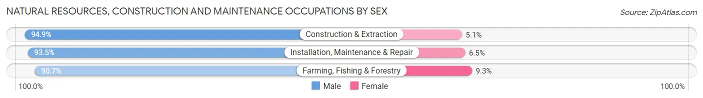 Natural Resources, Construction and Maintenance Occupations by Sex in McPherson County