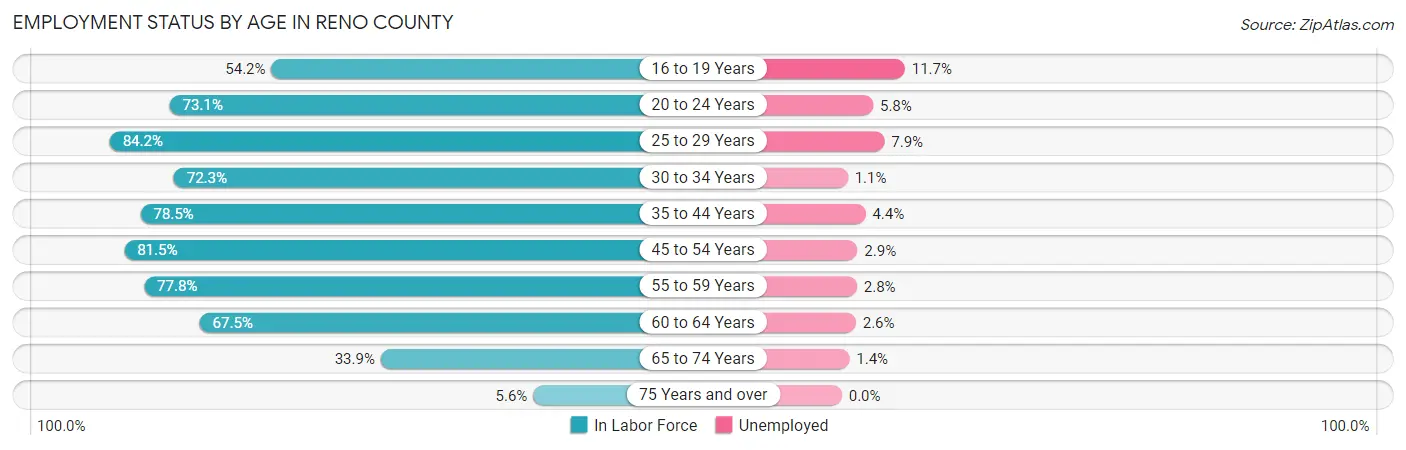 Employment Status by Age in Reno County