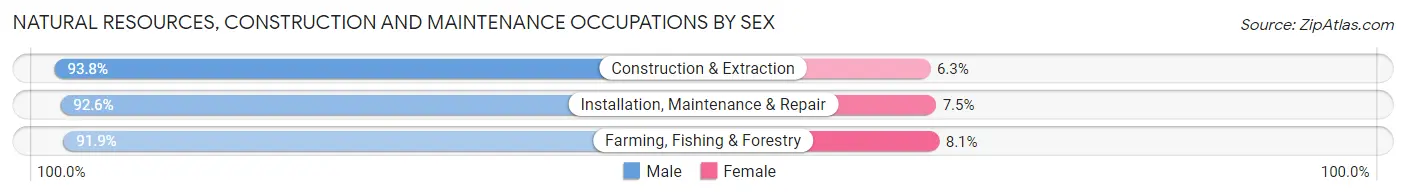 Natural Resources, Construction and Maintenance Occupations by Sex in Sedgwick County