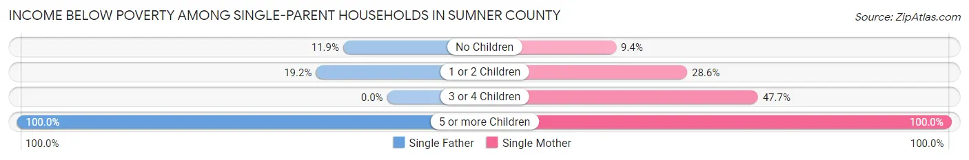 Income Below Poverty Among Single-Parent Households in Sumner County