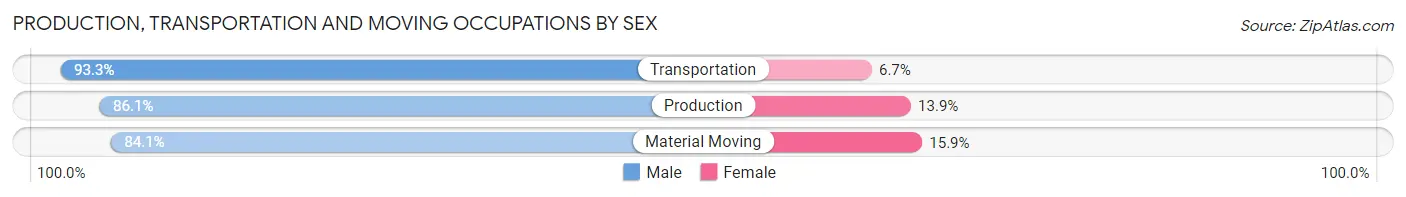 Production, Transportation and Moving Occupations by Sex in Sumner County
