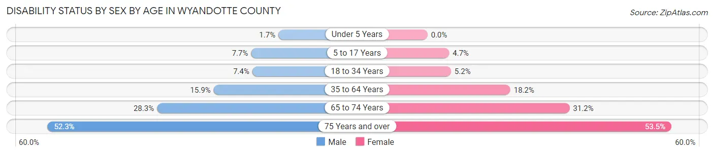 Disability Status by Sex by Age in Wyandotte County